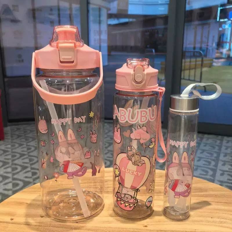 3 in1 fancy water bottle