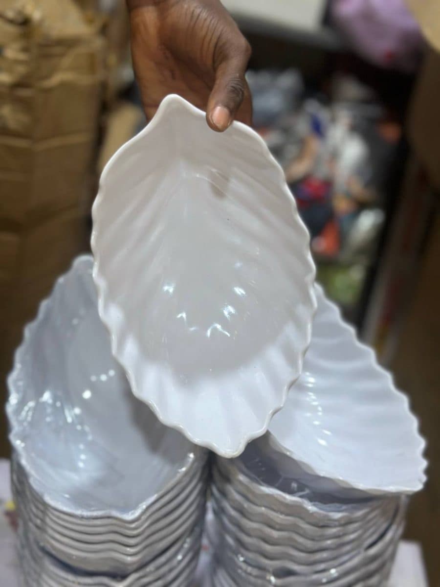 6pcs Plates
